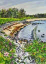 web2016beachatportbickerton
