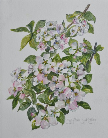 web20apple3blossoms