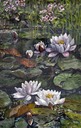 web20wcwaterlilies