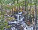 web21tanner'sfalls