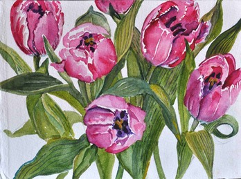 web23tulips