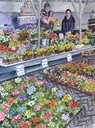 web23uelzenflowermarket