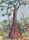 websketch16mahonganytreeboabeng-fiema