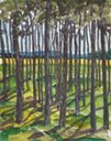 websketch17vimytrees