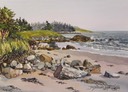 Clam Harbour Beach; Foggy Day