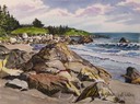 Clam Harbour Beach Sunny Day