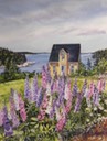 House and Lupins near Sheet Harbour