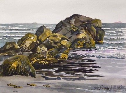 wpyellowrockweedonrockatclamharbour