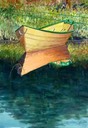 Yellow Dory